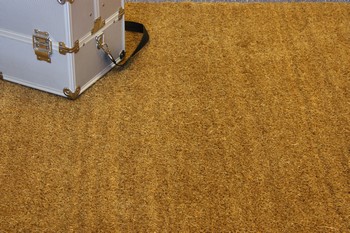 PVC Backed Coir Indoor Absorbant Mats